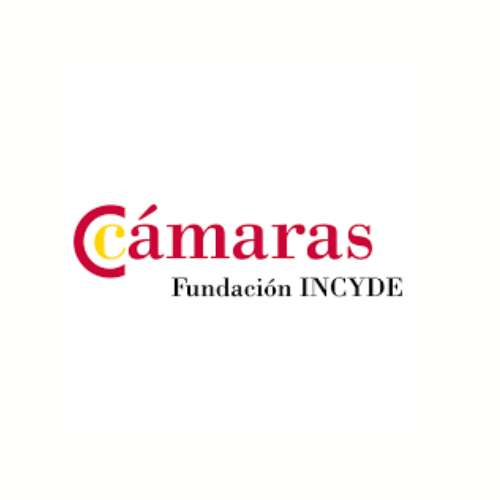 10. Logo Fundación Incyde