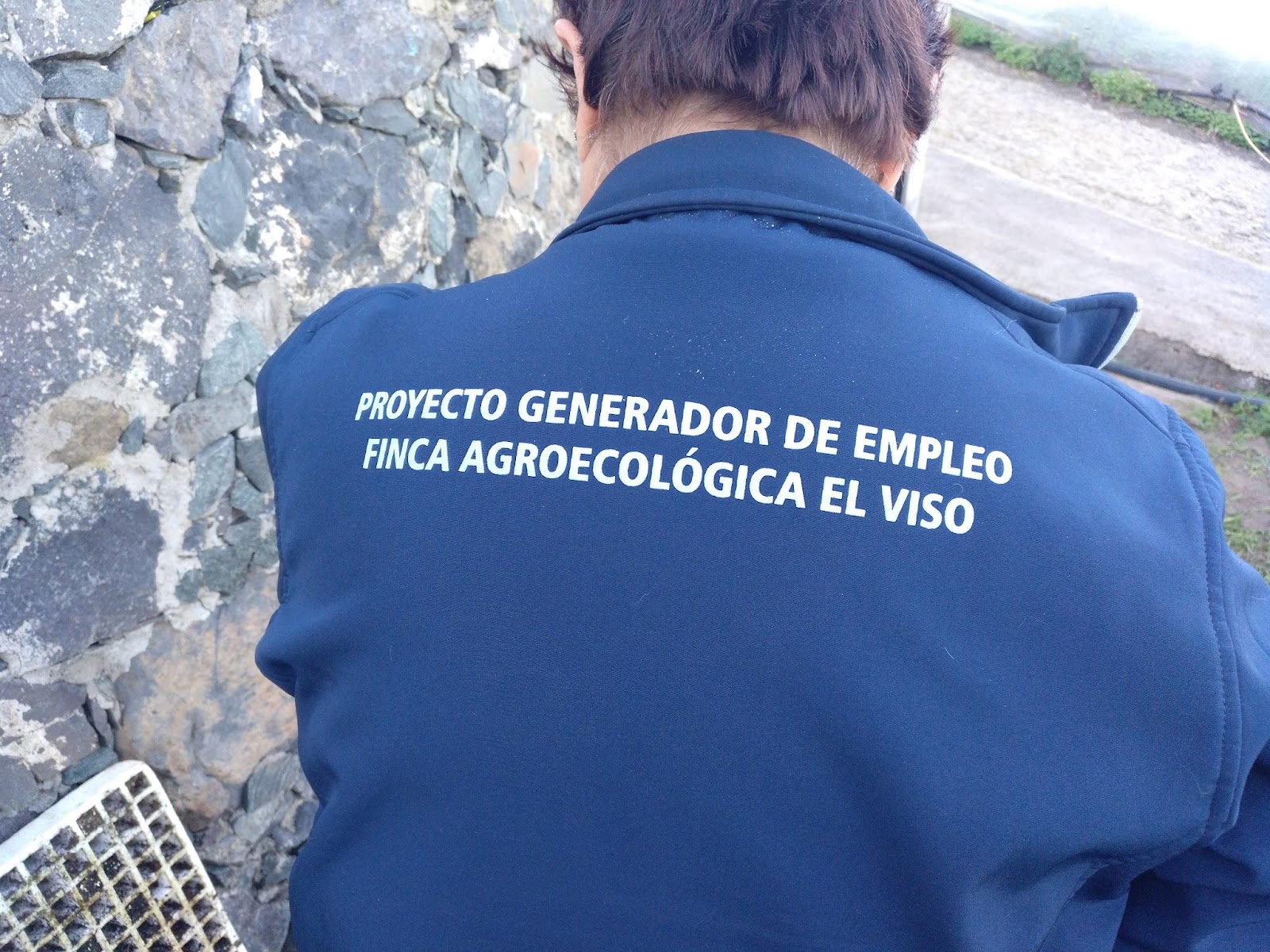 1KCGCDG7EmFjNufXDKCNMl0Y-Mz2ba9xn=s2048